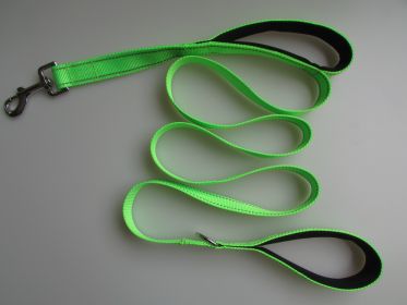 Pet Double Handle Pull Leash (Color: Green)