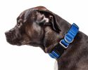 Pet Life 'Aero Mesh' 360 Degree Dual Sided Comfortable And Breathable Adjustable Mesh Dog Collar