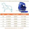 Summer Strap-style Dog Leash Adjustable Reflective Vest Walking Lead for Puppy Polyester Mesh Harness Small Dog Collars