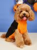 Halloween Pumpkin Dog Knitted soft Activity Costume